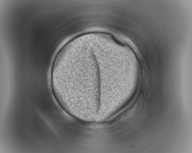 X0000115151199200911241522