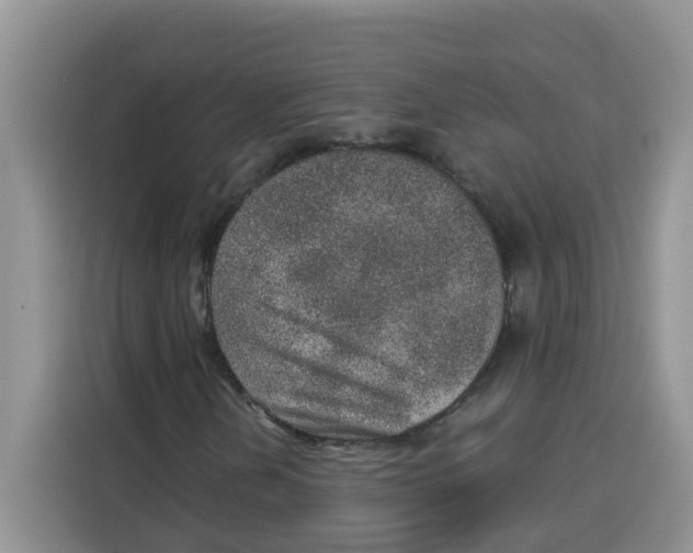 X0000115151202200911241522