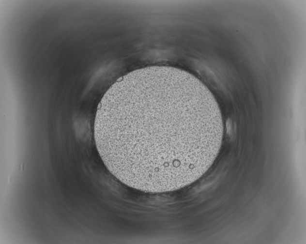 X0000115151203200911241522