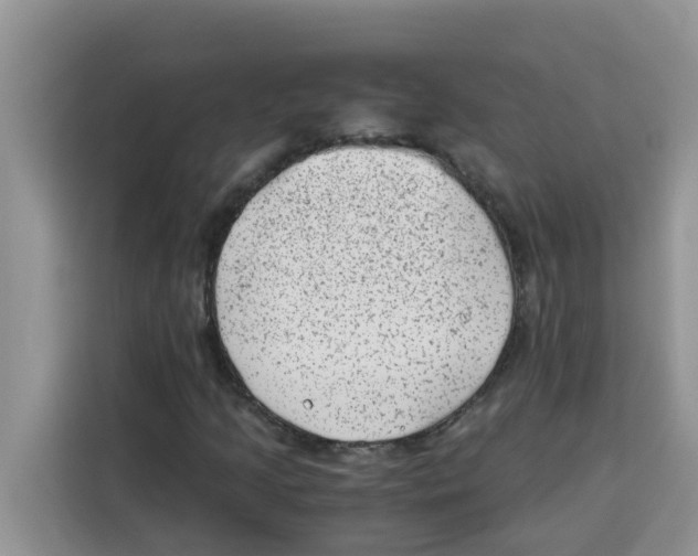 X0000115151205200911241522