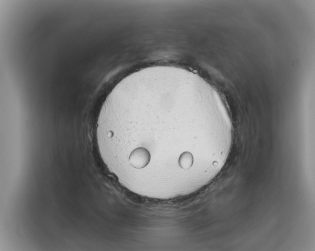 X0000115151206200911241522