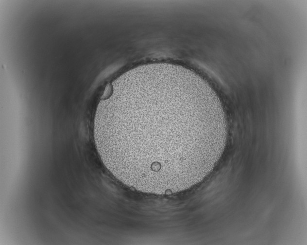 X0000115151207200911241522