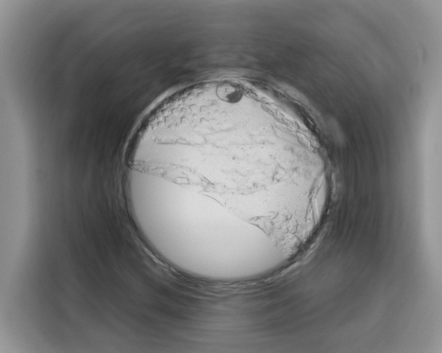 X0000115151212200911241522