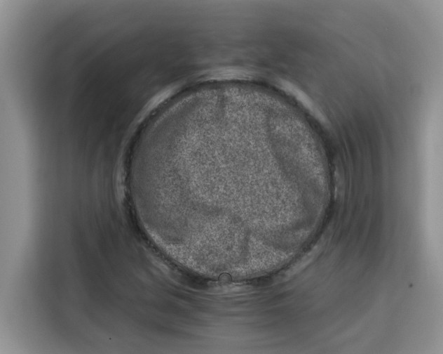 X0000115151213200911241522