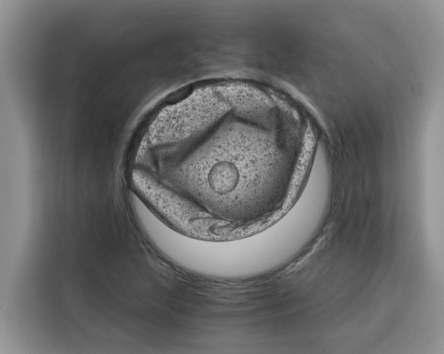 X0000115151215200911241522