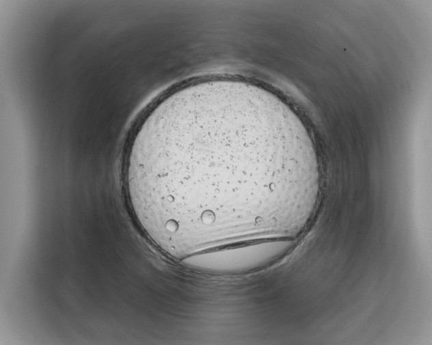 X0000115151216200911241522