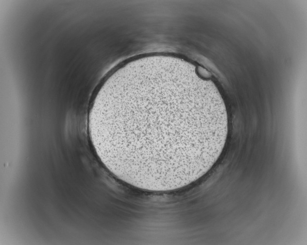 X0000115151220200911241522