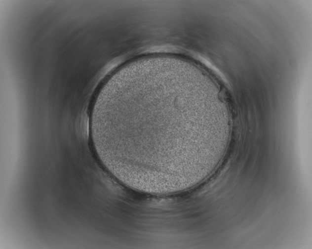 X0000115151221200911241522