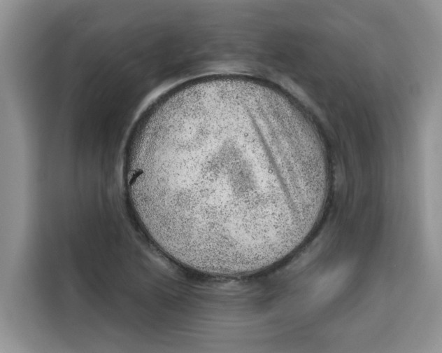 X0000115151222200911241522