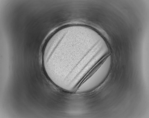 X0000115151224200911241522