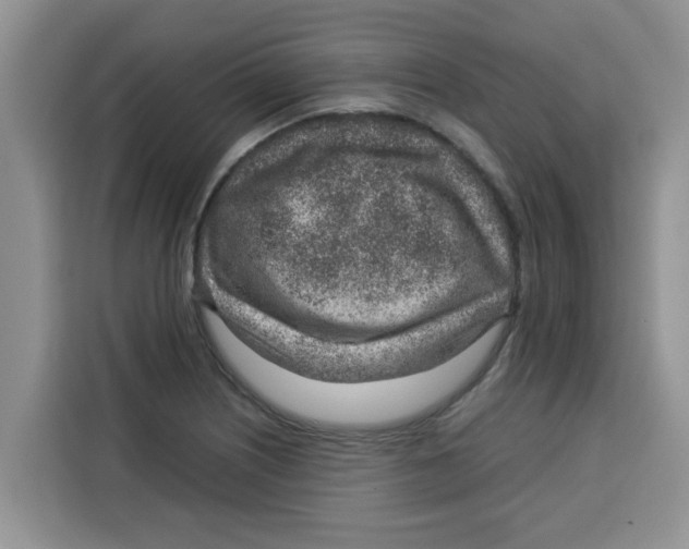 X0000115151226200911241522