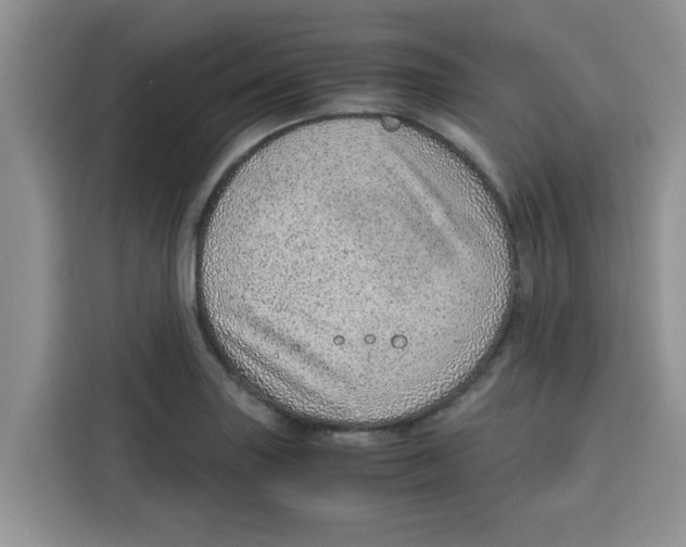 X0000115151227200911241522