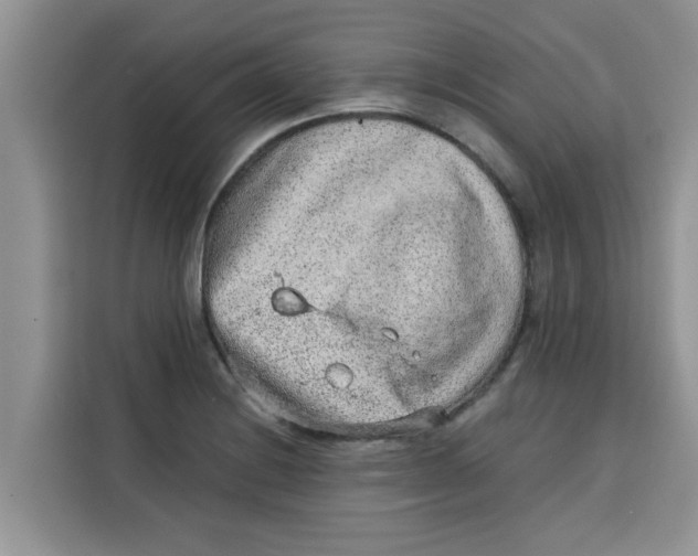 X0000115151228200911241522