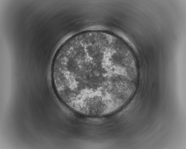 X0000115151229200911241522