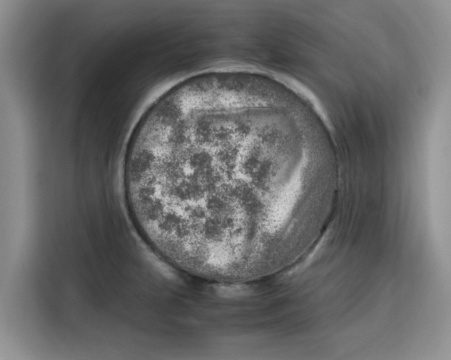 X0000115151231200911241522