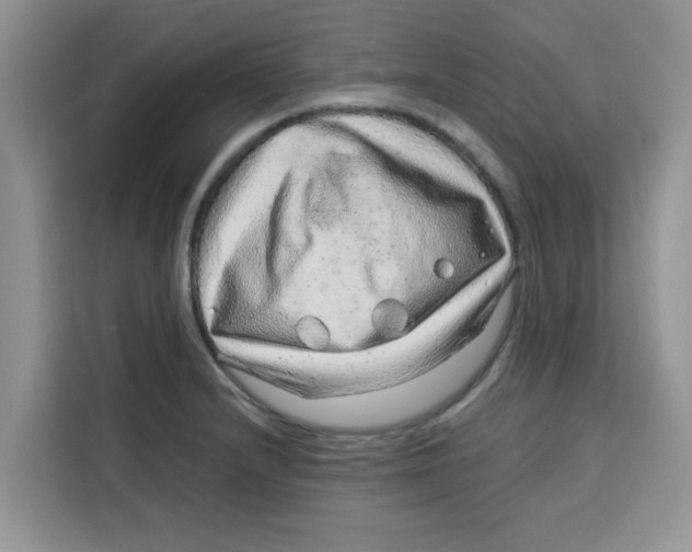 X0000115151232200911241522