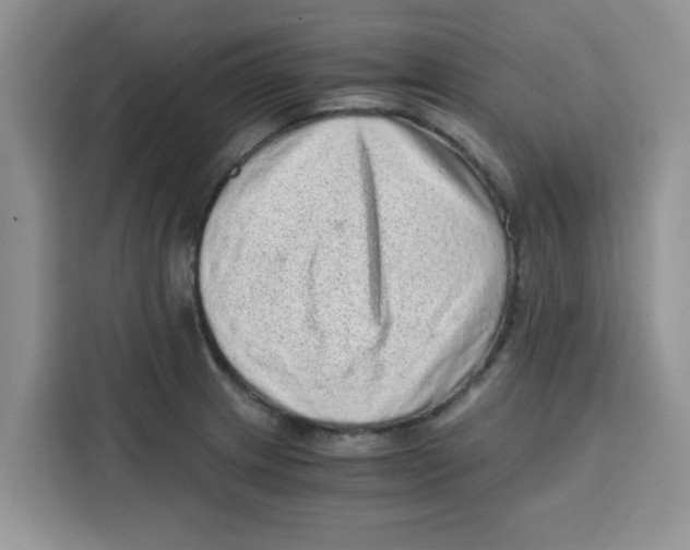 X0000115151233200911241522