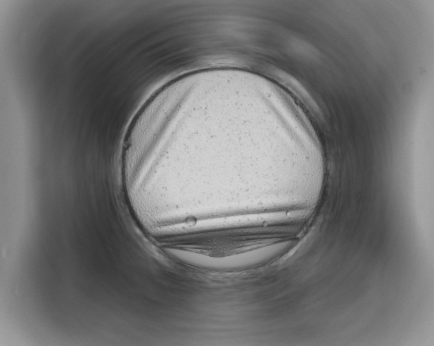 X0000115151236200911241522