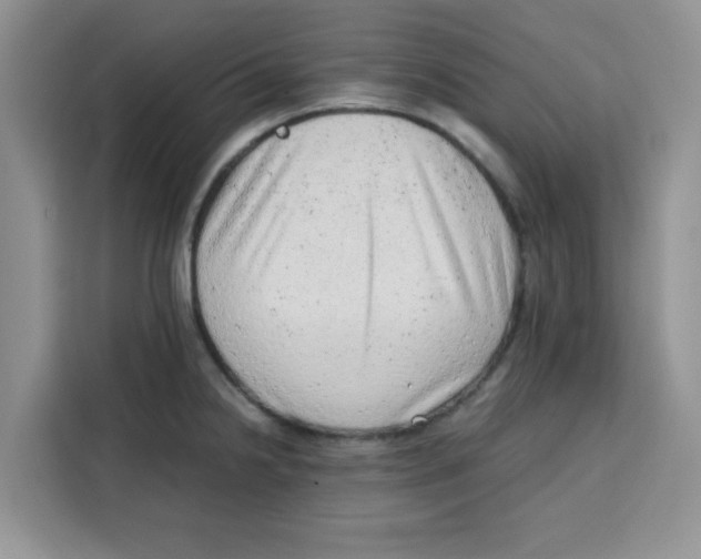 X0000115151238200911241522