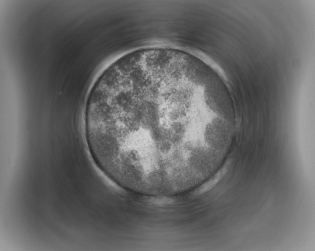 X0000115151239200911241522