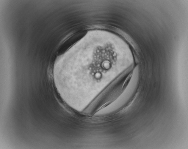 X0000115151241200911241522