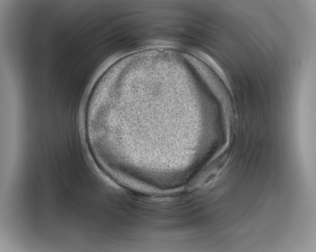 X0000115151243200911241522