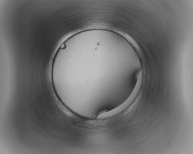 X0000115151246200911241522