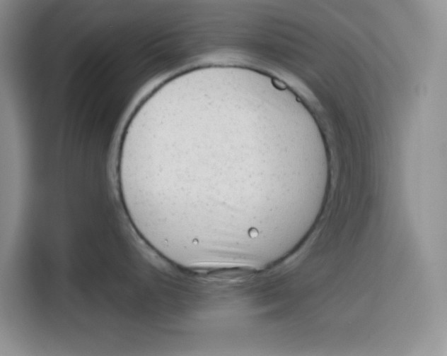 X0000115151248200911241522