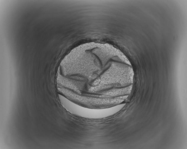 X0000115151249200911241522