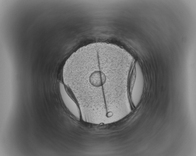 X0000115151252200911241521