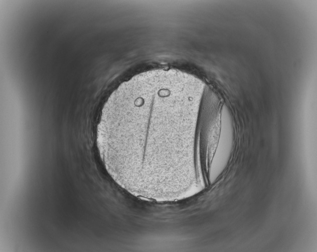 X0000115151253200911241521