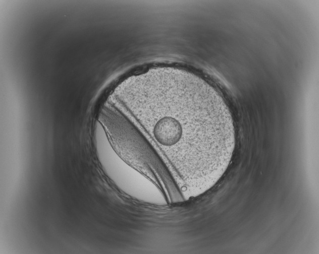 X0000115151256200911241521