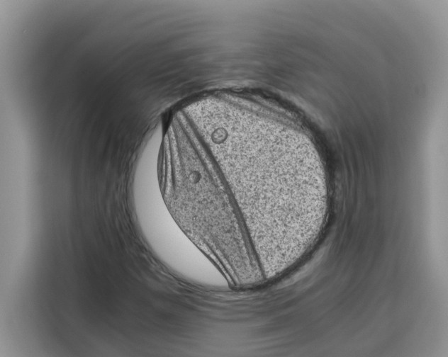 X0000115151257200911241521