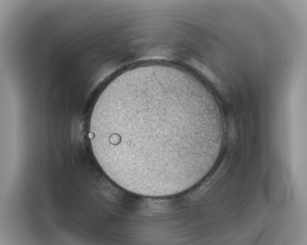 X0000115151258200911241521