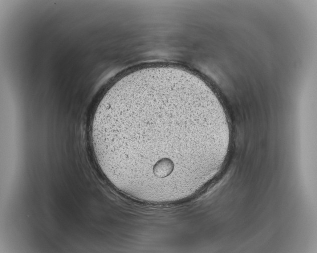 X0000115151259200911241521