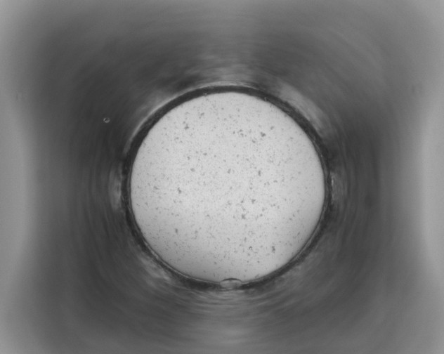 X0000115151260200911241521