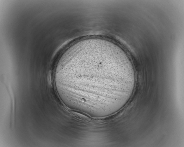 X0000115151262200911241521