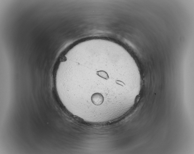 X0000115151267200911241521