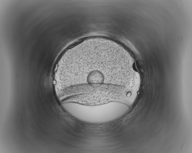 X0000115151268200911241521