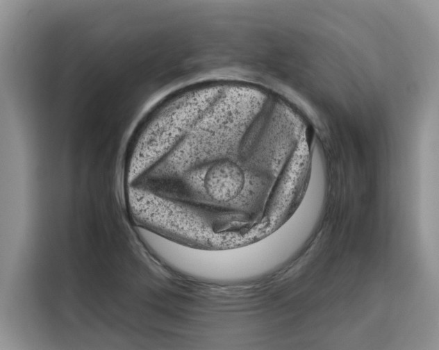 X0000115151272200911241521