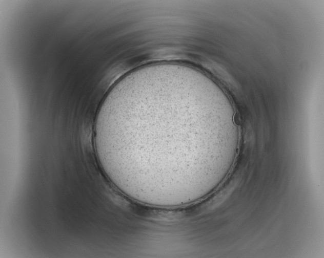 X0000115151273200911241521