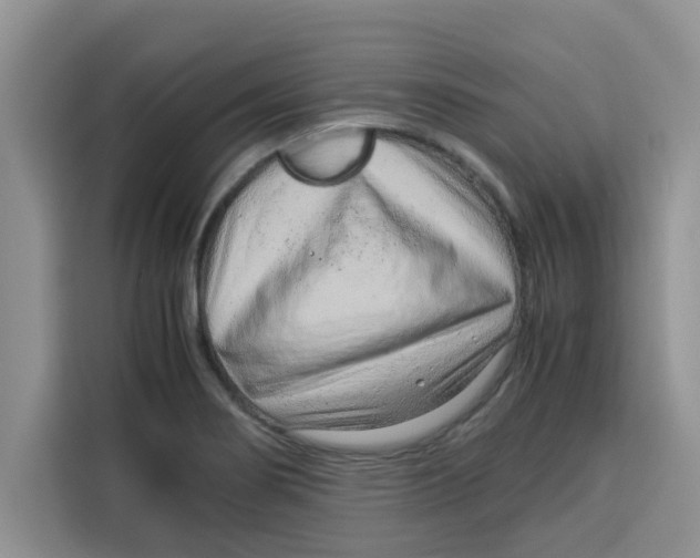 X0000115151274200911241521