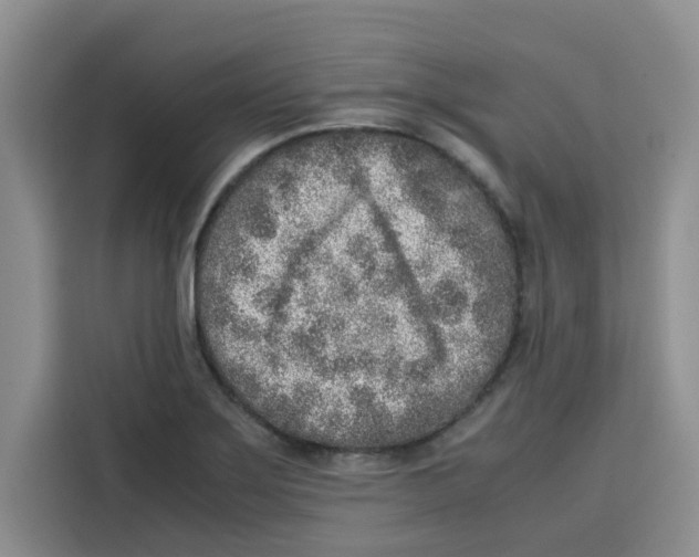 X0000115151275200911241521