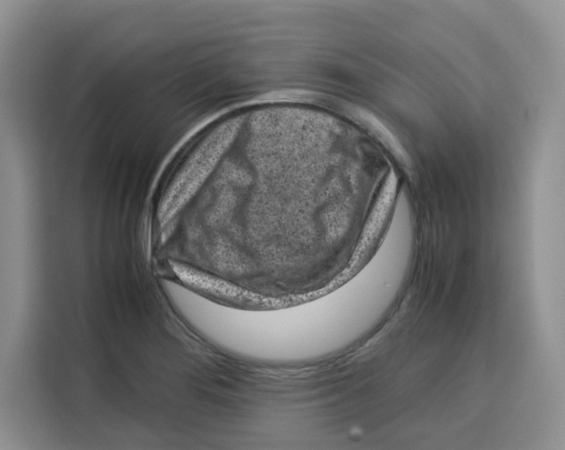 X0000115151276200911241521