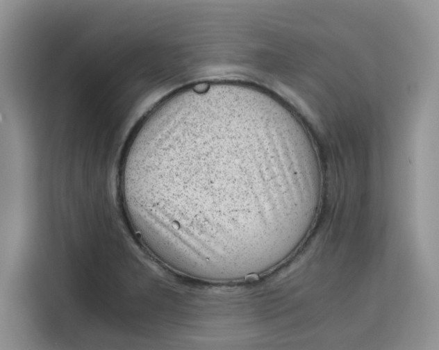 X0000115151277200911241521