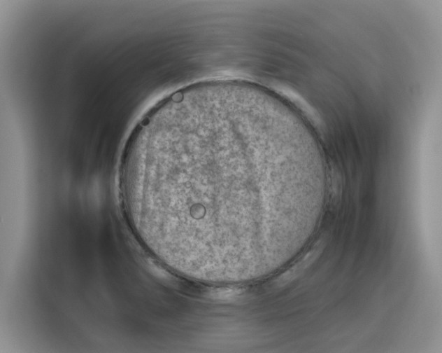 X0000115151278200911241521