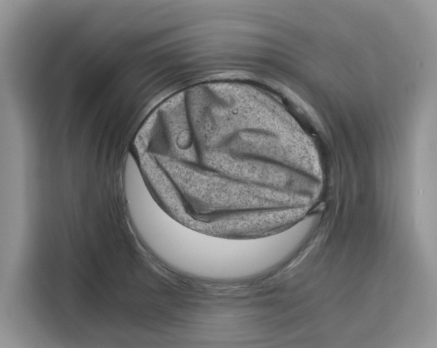 X0000115151281200911241521