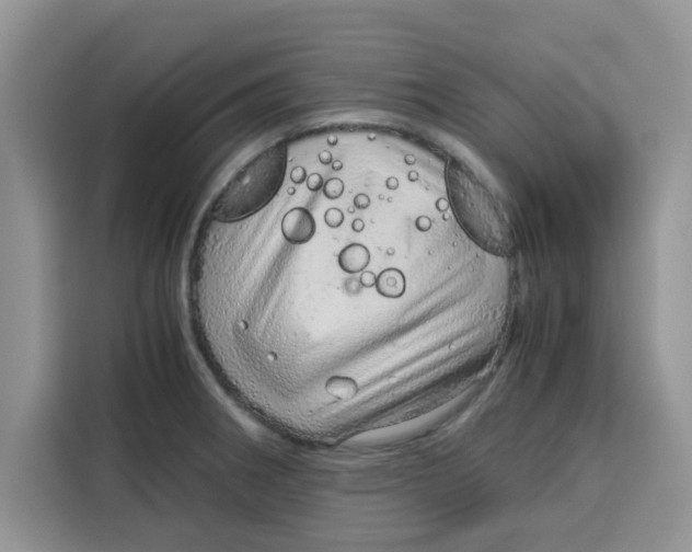 X0000115151282200911241521