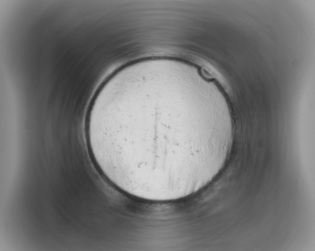 X0000115151283200911241521