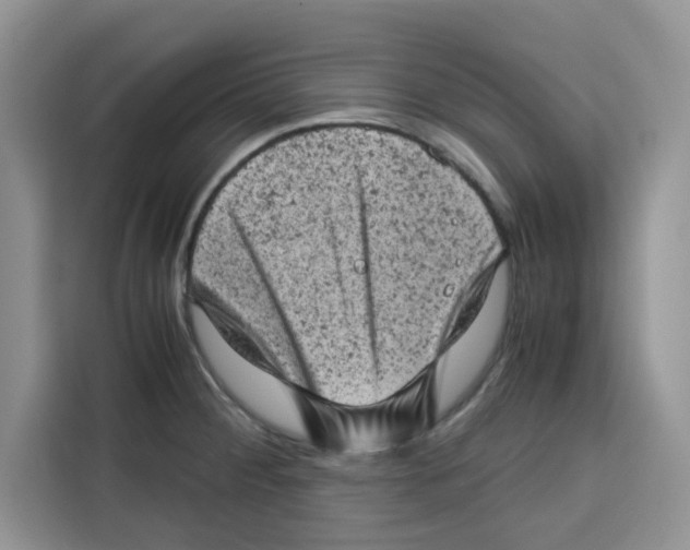 X0000115151284200911241521